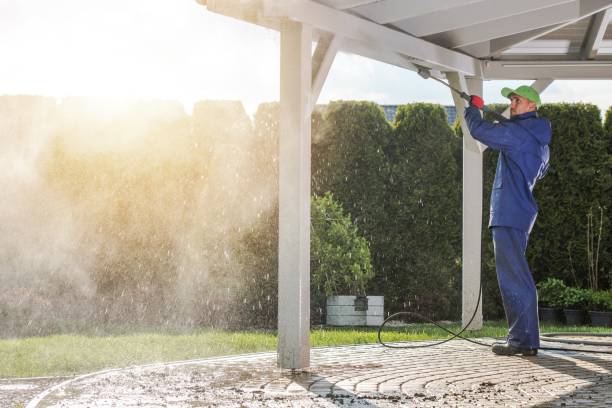 Animal Enclosure Cleaning in Flordell Hills, MO
